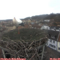 12_25-nest.jpg