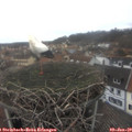 12_35-nest.jpg