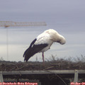 12_40-mast.jpg