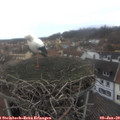 12_40-nest.jpg