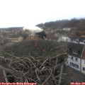 12_45-nest.jpg