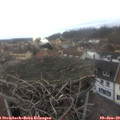 12_50-nest.jpg