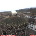 13_00-nest.jpg