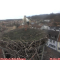 13_10-nest.jpg