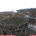 13_15-nest.jpg