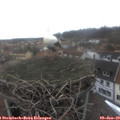 13_20-nest.jpg