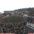 13_35-nest.jpg