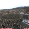 13_45-nest.jpg
