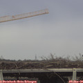 13_50-mast.jpg