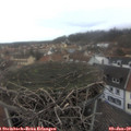 13_50-nest.jpg