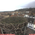 13_55-nest.jpg
