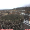 14_00-nest.jpg