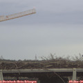 14_05-mast.jpg