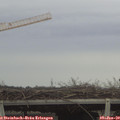 14_10-mast.jpg