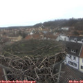 14_10-nest.jpg