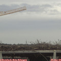 14_15-mast.jpg