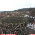 14_15-nest.jpg