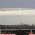 14_20-mast.jpg