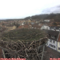 14_20-nest.jpg