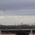 14_25-mast.jpg