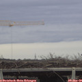 14_30-mast.jpg