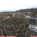 14_30-nest.jpg