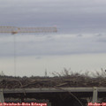 14_35-mast.jpg