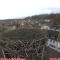 14_35-nest.jpg