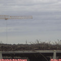 14_40-mast.jpg