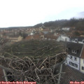 14_40-nest.jpg