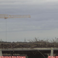 14_45-mast.jpg
