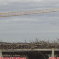 15_00-mast.jpg