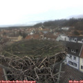 15_00-nest.jpg