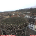 15_05-nest.jpg