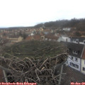15_10-nest.jpg