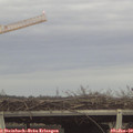 15_15-mast.jpg