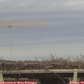 15_20-mast.jpg