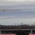 15_35-mast.jpg