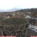 15_35-nest.jpg