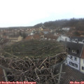15_40-nest.jpg