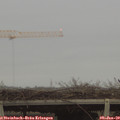 15_45-mast.jpg