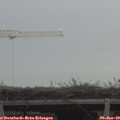 15_50-mast.jpg
