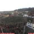 15_55-nest.jpg