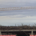 16_10-mast.jpg
