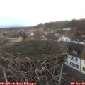 16_10-nest.jpg