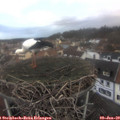 16_20-nest.jpg