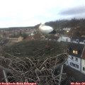 16_35-nest.jpg