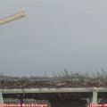 08_30-mast.jpg