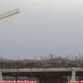 08_35-mast.jpg