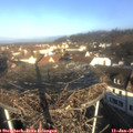 09_30-nest.jpg